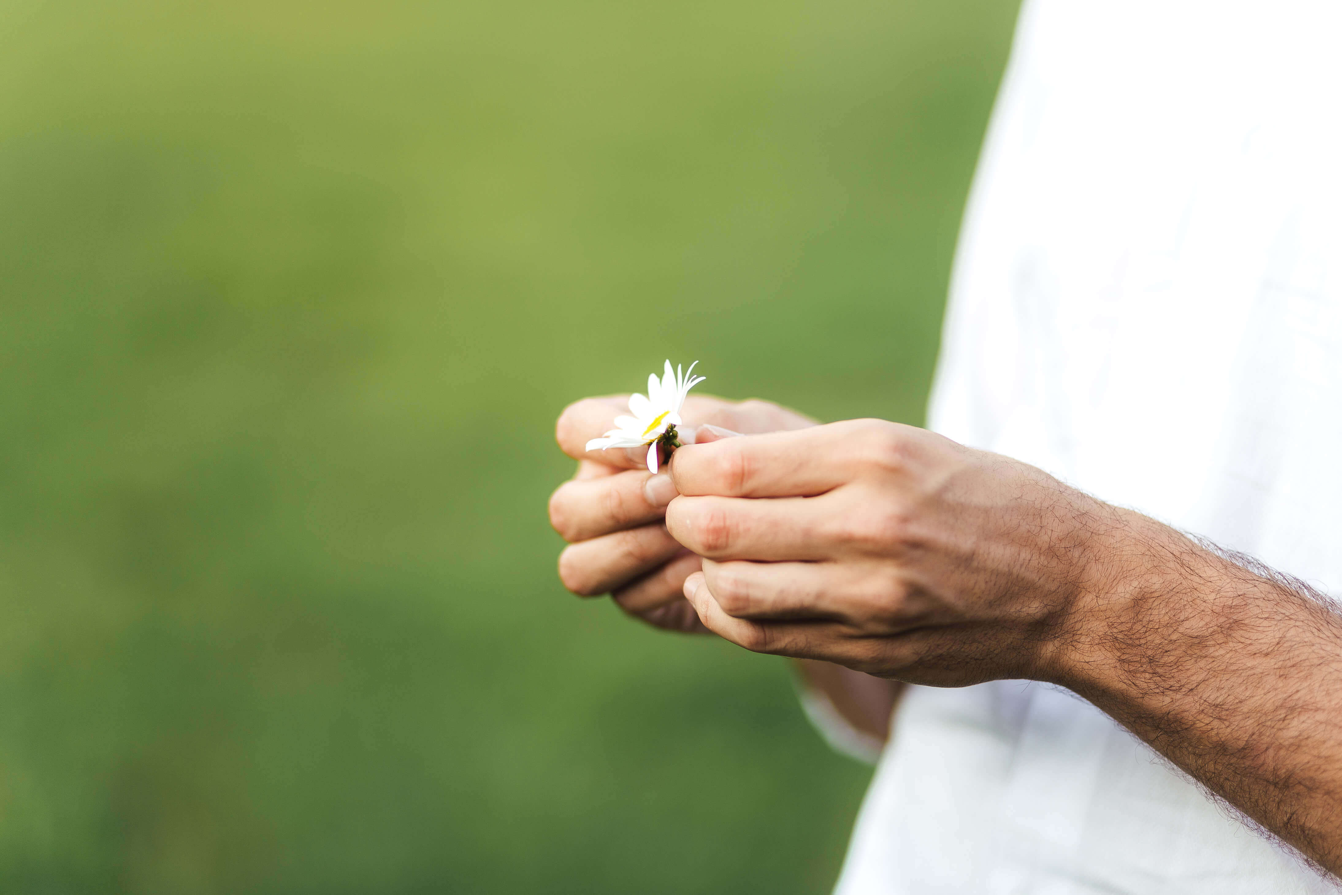 engagement_couple_photographie_jura_franche-comte_P&G29